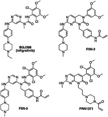 Expanding the Arsenal of FGFR Inhibitors: A Novel <mark class="highlighted">Chloroacetamide</mark> Derivative as a New Irreversible Agent With Anti-proliferative Activity Against FGFR1-Amplified Lung Cancer Cell Lines